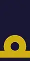 2. Woven shoulder mark (2003–present)