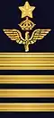 Shoulder mark (Air Force)