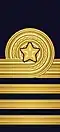 Embroidered shoulder mark