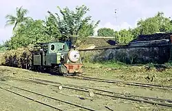 Djatibarang 12