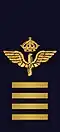 Air Force