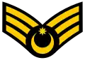 Baş miçman (Azerbaijani Navy)[1]