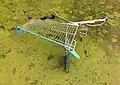 A broken shopping cart, thrown into a waterway, Netherlands