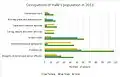Occupations of the people of Haile in 2011.[1]
