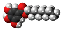 Space-filling model of the octyl gallate molecule