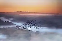 Sajik Tampak valley