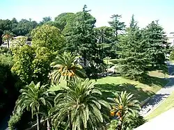 Image 15Part of the Vatican Gardens (from Gardens of Vatican City)