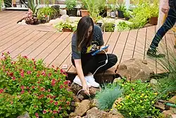 Ohalo biophilic learning space