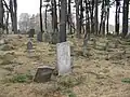 Old Burial Ground