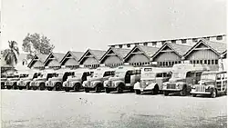 Line of old buses