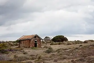 Old shack in Sleaford