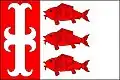Flag of Olovnice