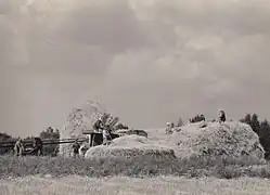 Skarszewek in the 1950s