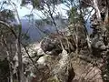 Pigeon House Mountain