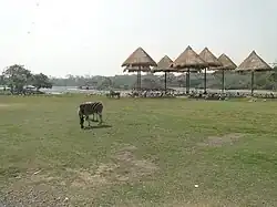 Safari World