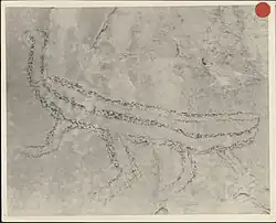 close up of a charcoal rock art creature drawn in outline