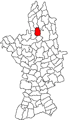 Location in Olt County