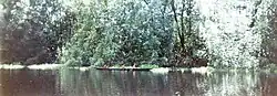 Typical Warao canoe.