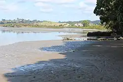 Millwater seen from the Orewa River.