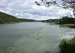 Orlången.