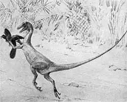 Ornitholestes