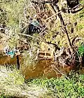 Plastic waste and other litter in Wakeley