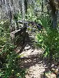 Indian Mound Park curving boardwalk