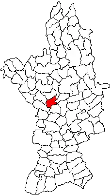 Location in Olt County