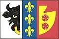 Flag of Ostrov