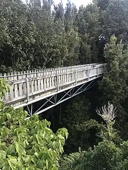 A lone wooden bridge in the middle of a forest canopy