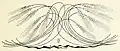 Design by Otto Eckmann based upon stems of wheat (1895)