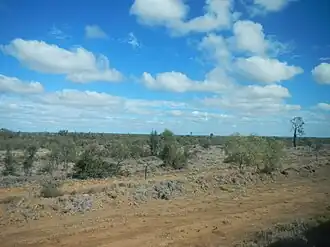 Grazing land beside the Central Western railway in Pine Hill, 2013