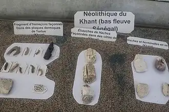Neolithic flint tools from Khant near Kayar.