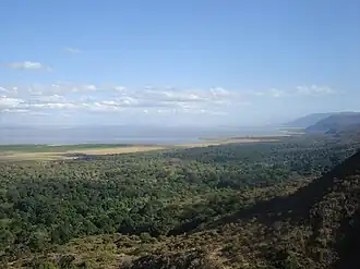 Large lake into horizon center and left, forested cliffs to right, forest in foreground.