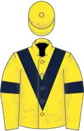 Yellow, dark blue chevron and armlets