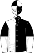 Black and white (halved), halved sleeves, black and white quartered cap