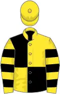 Yellow and black (quartered), hooped sleeves, yellow cap