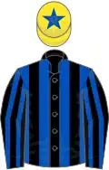 Black and royal blue stripes, yellow cap, royal blue star