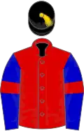 Red, blue sleeves, red armlets, black cap, gold tassel