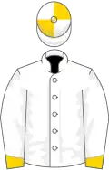 White, gold cuffs, quartered cap