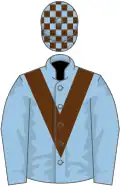 Light blue, brown chevron, checked cap