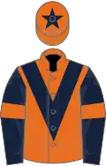 Orange, dark blue chevron, dark blue sleeves, orange armlets, orange cap, dark blue star