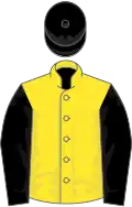 Yellow, black sleeves and cap