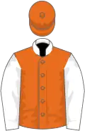 Orange, white collar and sleeves