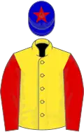 Yellow, red sleeves, blue cap, red star