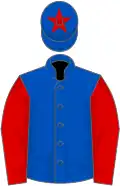 ROYAL BLUE, red sleeves, royal blue cap, red star