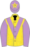 Yellow, mauve chevron and sleeves, mauve cap, yellow star