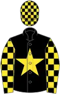 Black, yellow star, yellow and black check sleeves, black and yellow check cap