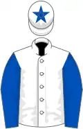White, royal blue star, sleeves and star on cap