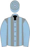 Light blue and grey stripes, light blue sleeves, hooped cap
